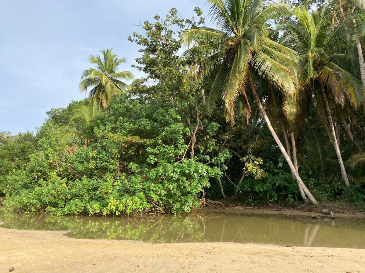 Aldina S Guest House Cahuita Luaran gambar